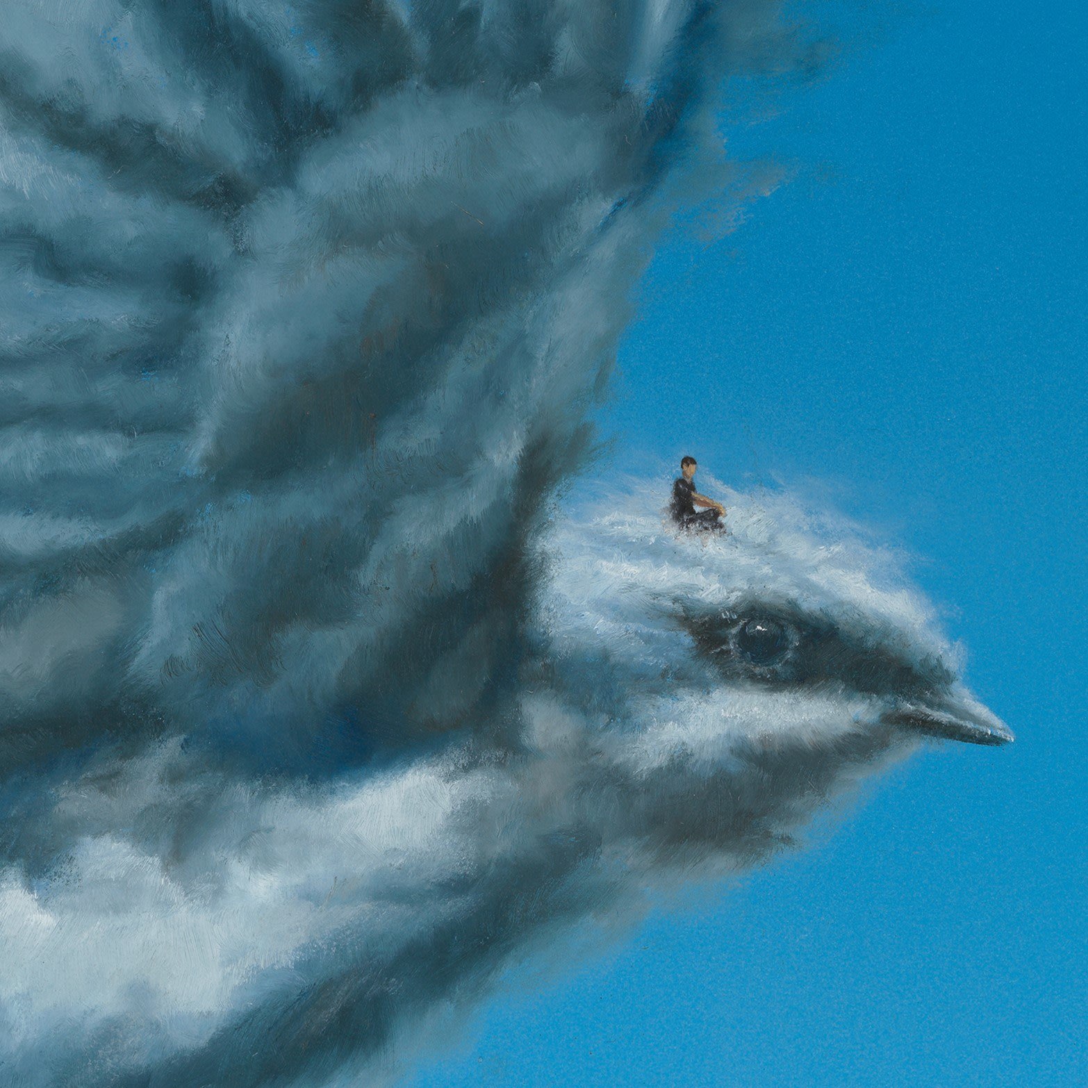Joseph Renda Junior, Along for the ride, 2024