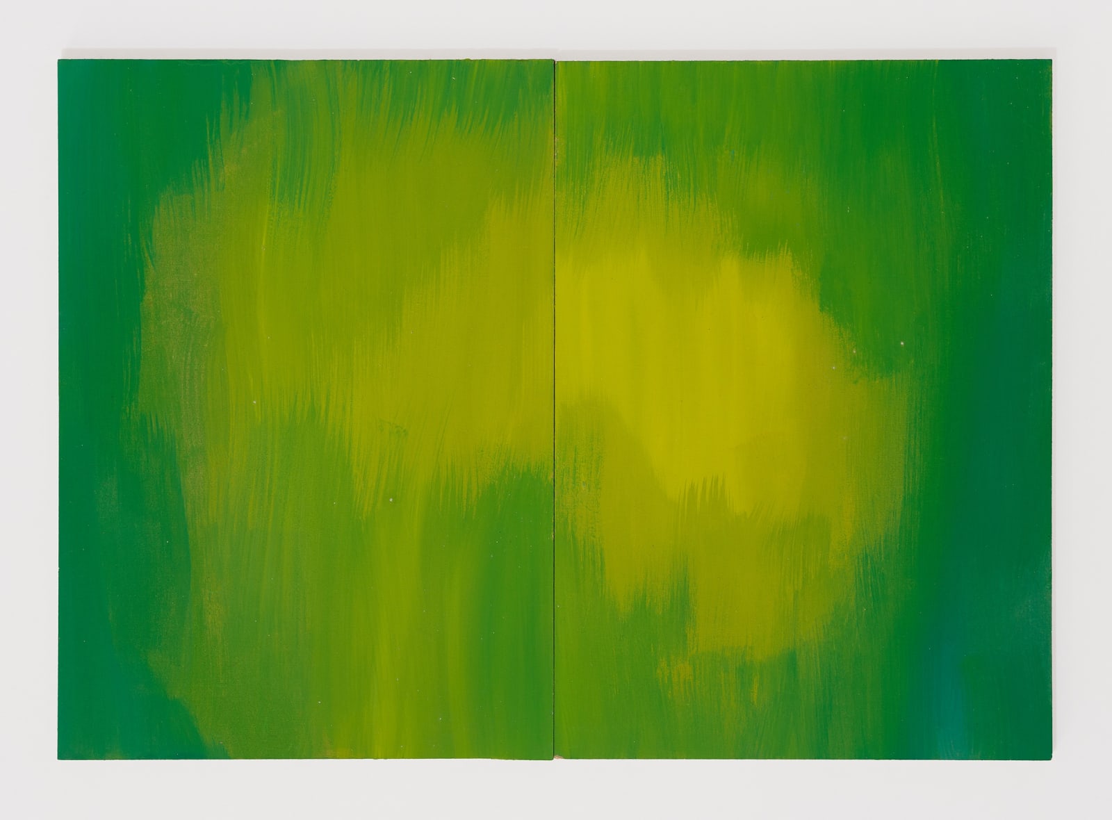 FLORA MOSCOVICI, Peinture pour "vert" the drawer, 2019