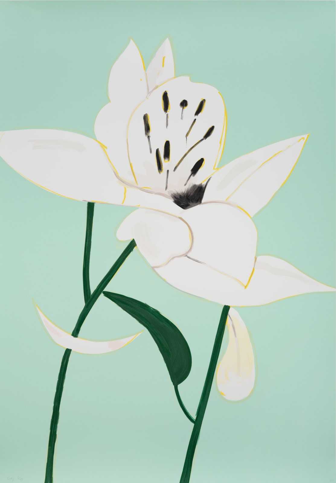 Alex Katz, White Lilies 4, 2025