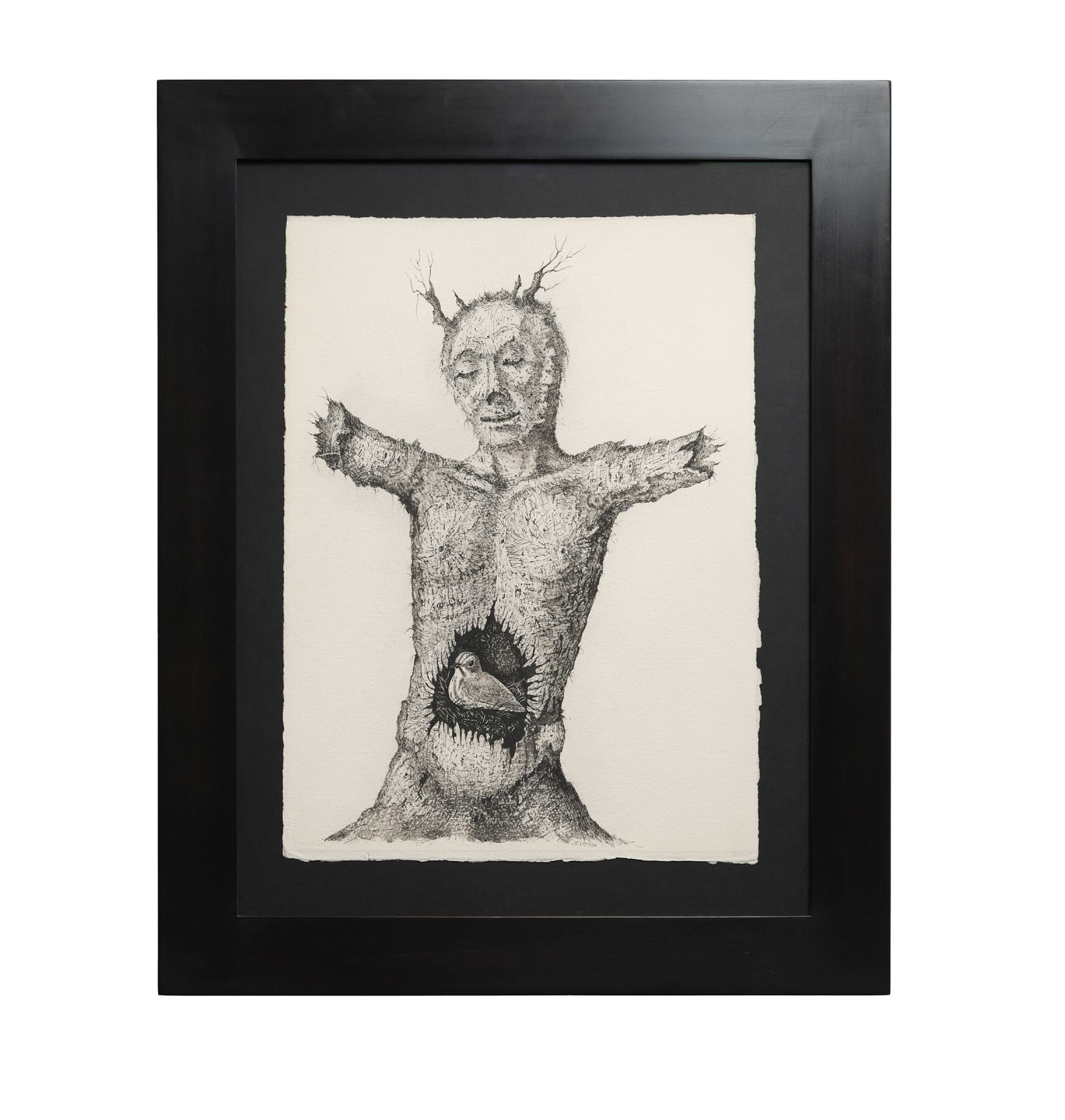 Stanislao Lepri, L'homme-nid, 1976