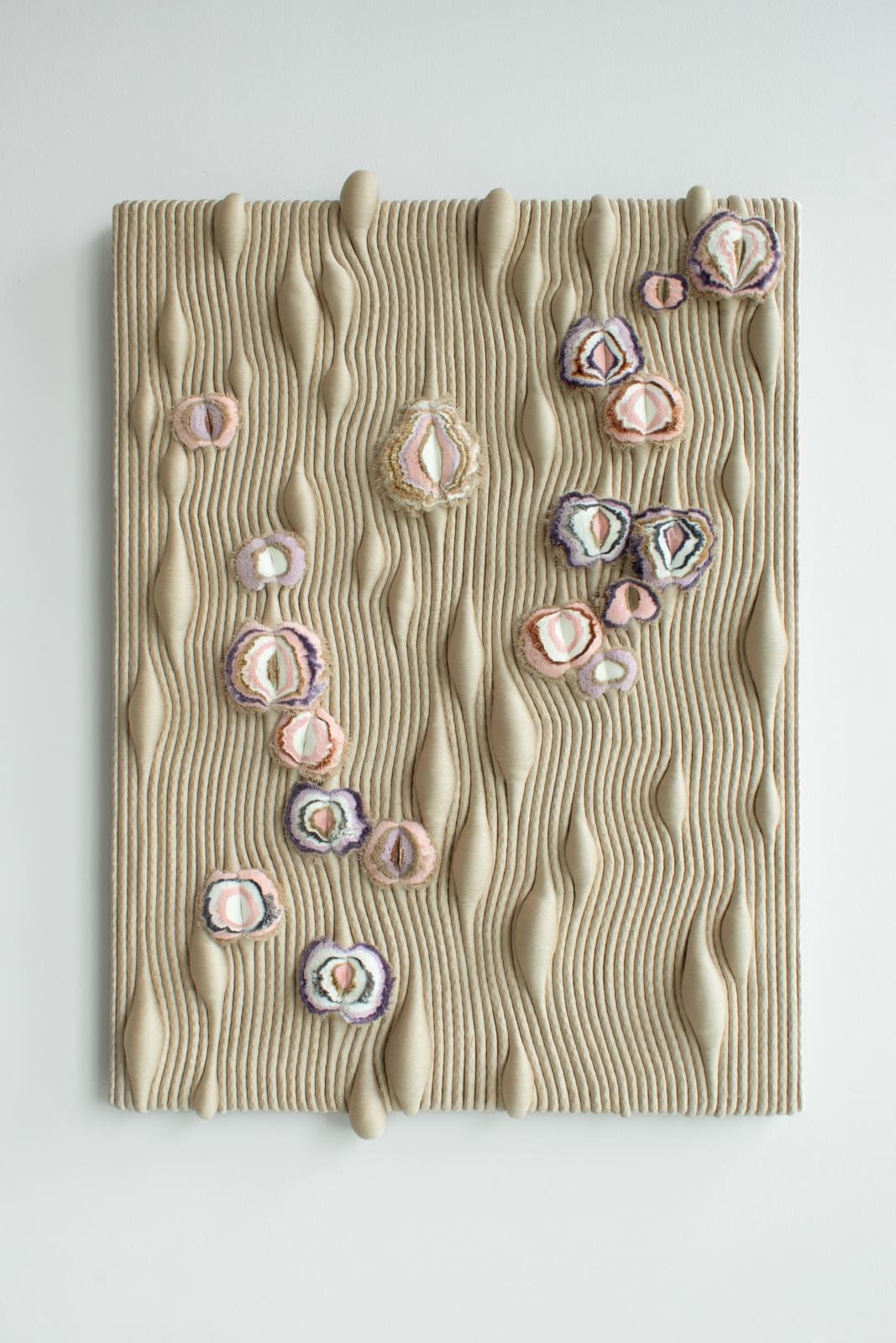 Joana Schneider, Rosebed