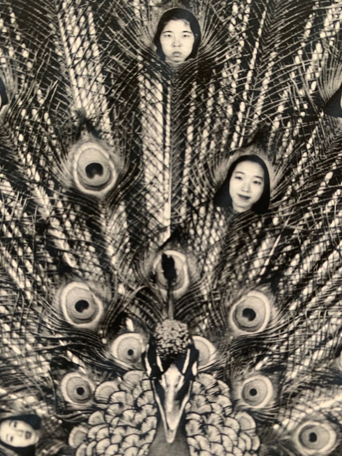 Wojtek Klimek, Camouflage, 2020