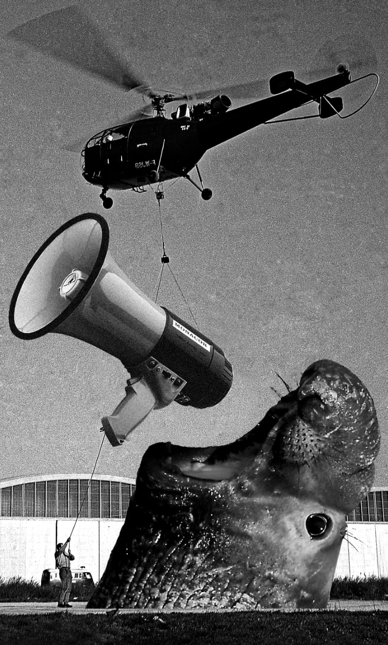 Wojtek Klimek, Protest - LAST PIECE, 2020