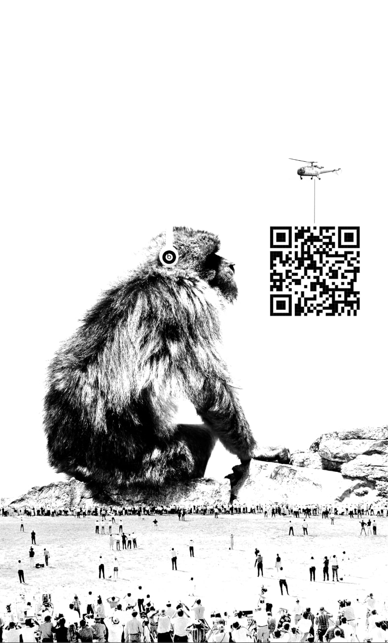 Wojtek Klimek, Evolution - SOLD OUT, 2020