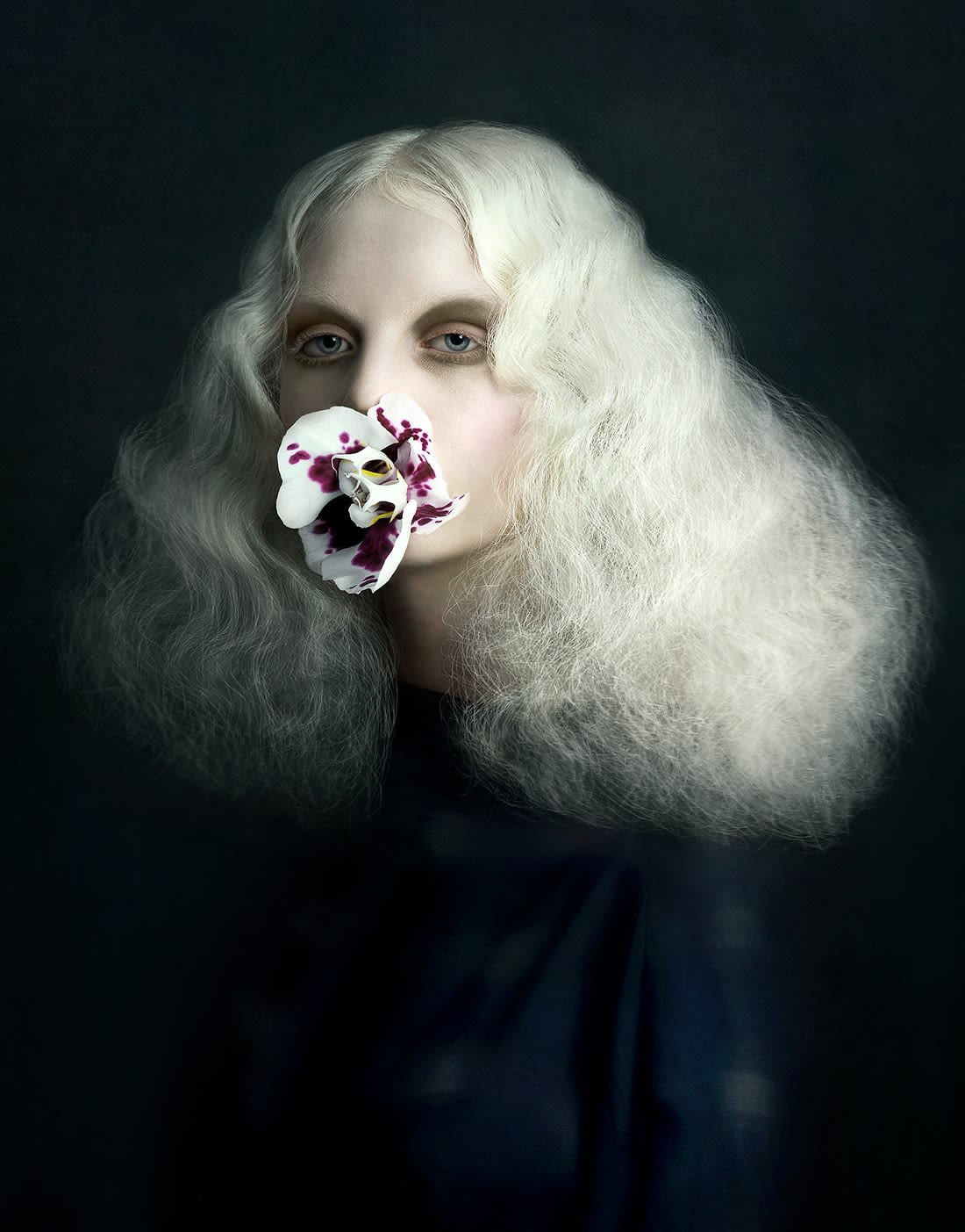 Justine Tjallinks, Silence, 2016