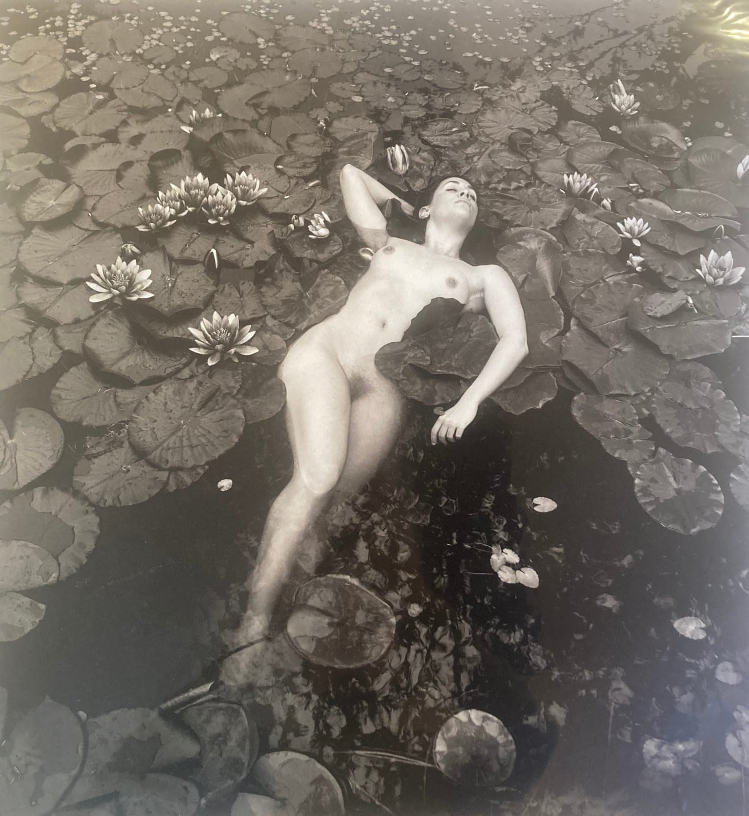 Flor Garduño, Ninfea, Suiza, 2007