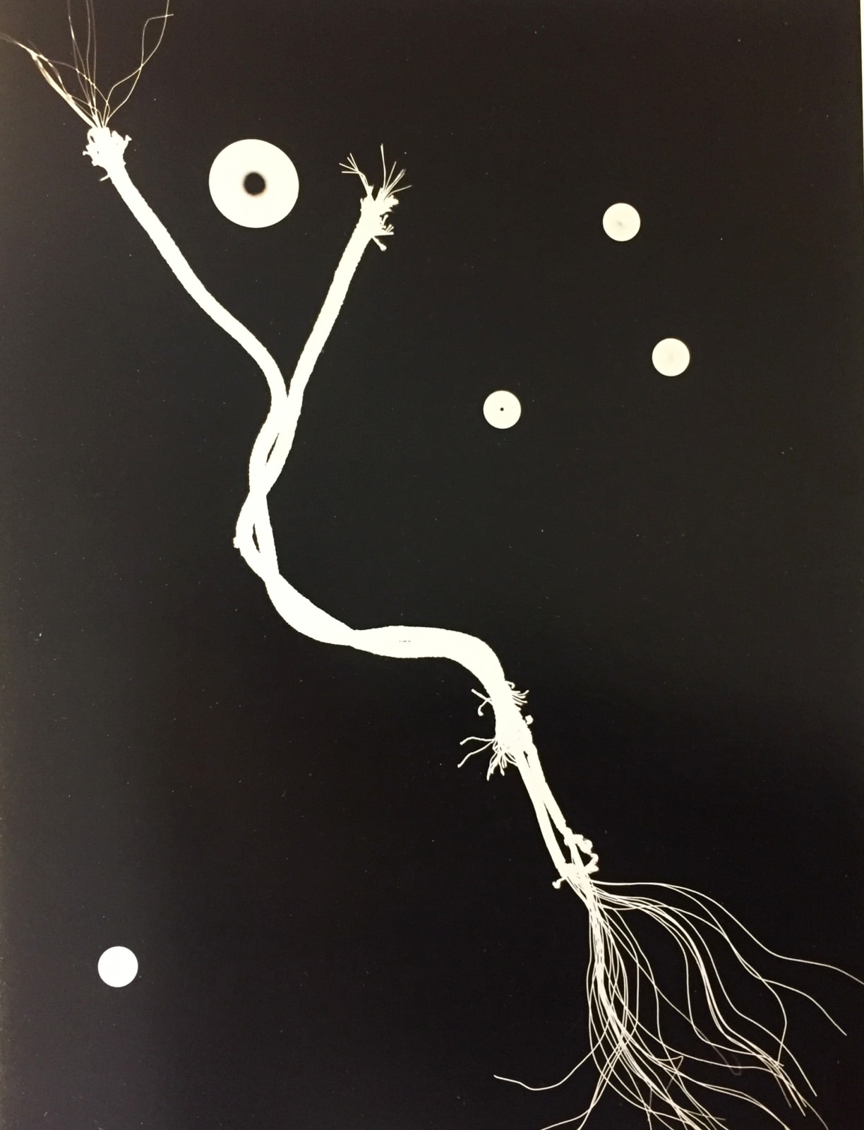 Kati Horna, Untitled, Mexico, 1940