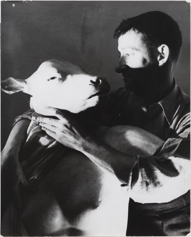 Erwin Blumenfeld, Self-Portrait with Calf's head, Paris, 1937