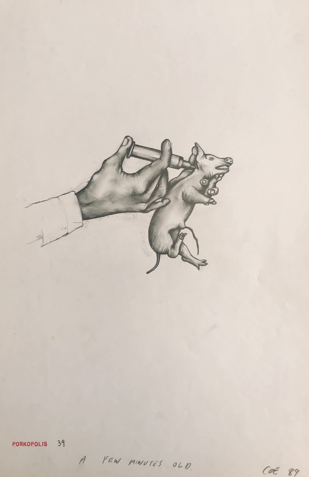 Sue Coe, A Few Minutes Old, 1989