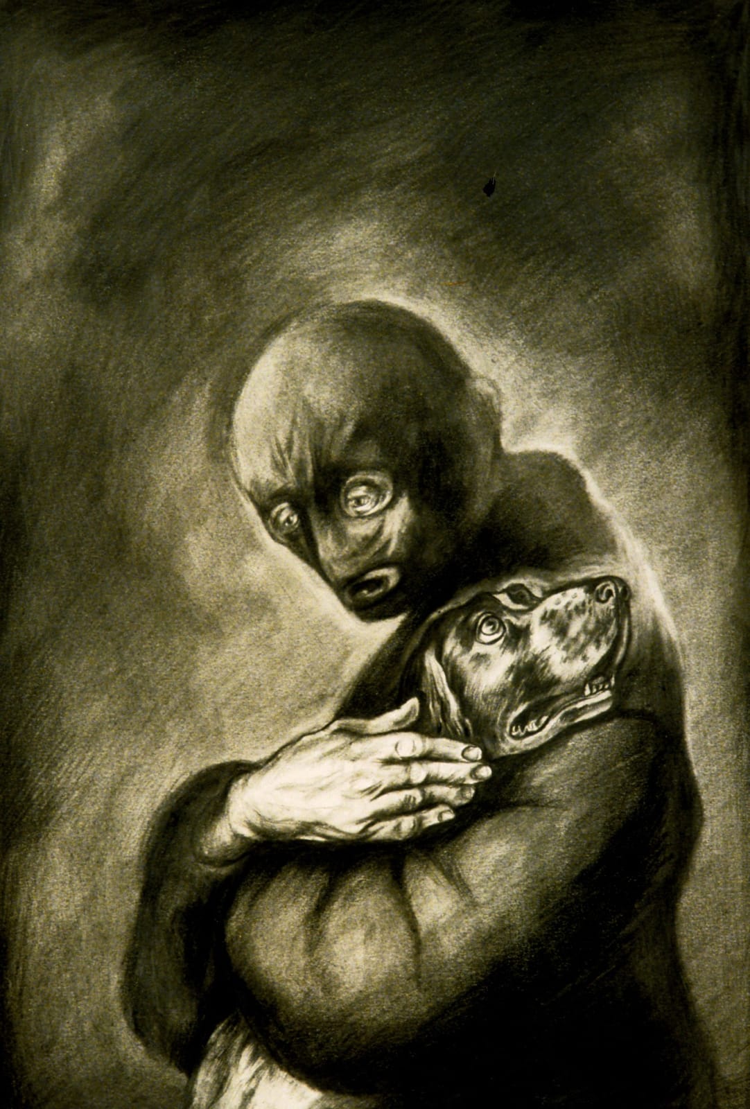 Sue Coe, Terrorist or Liberator?, 2004