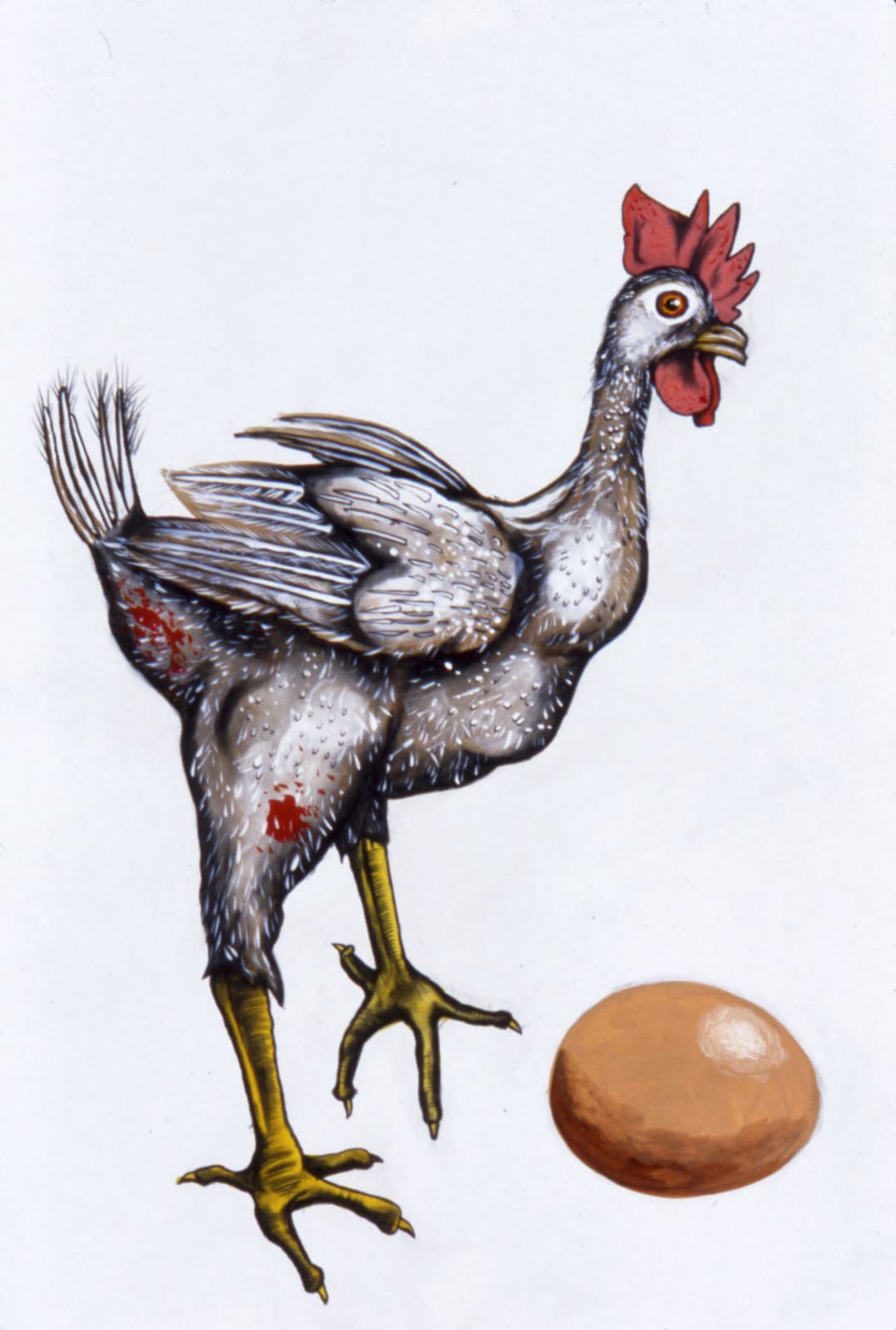 Sue Coe, Battery Hen, 1990