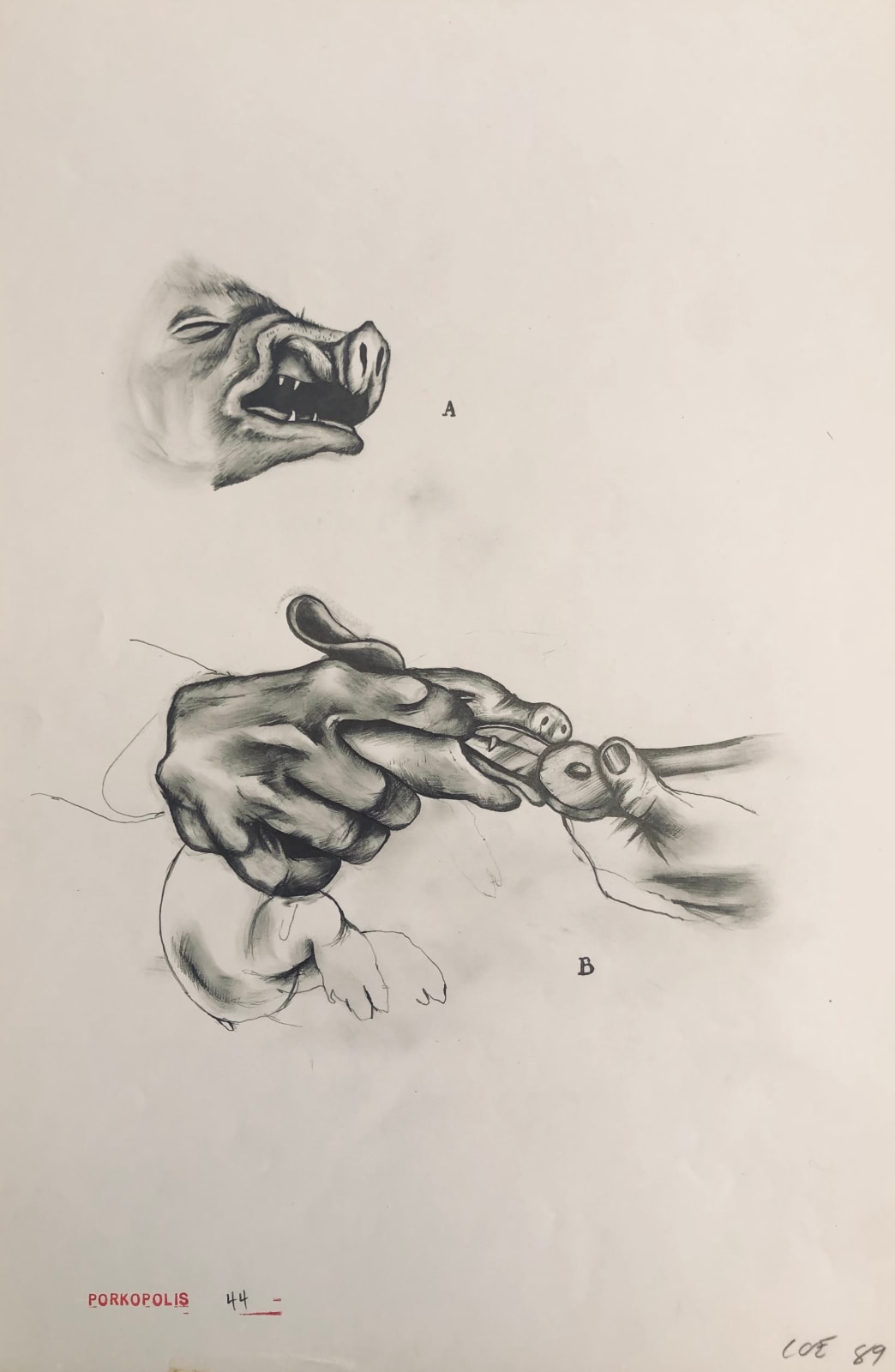 Sue Coe, Teeth Cutting, 1989
