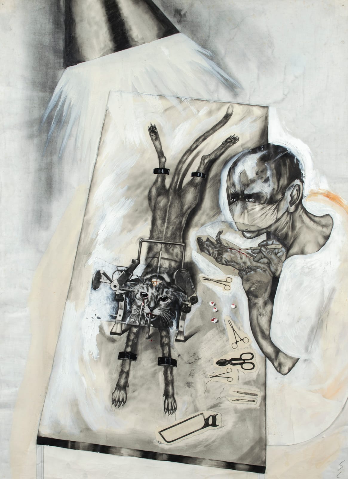 Sue Coe, Spotlight (Vivisection), 1984