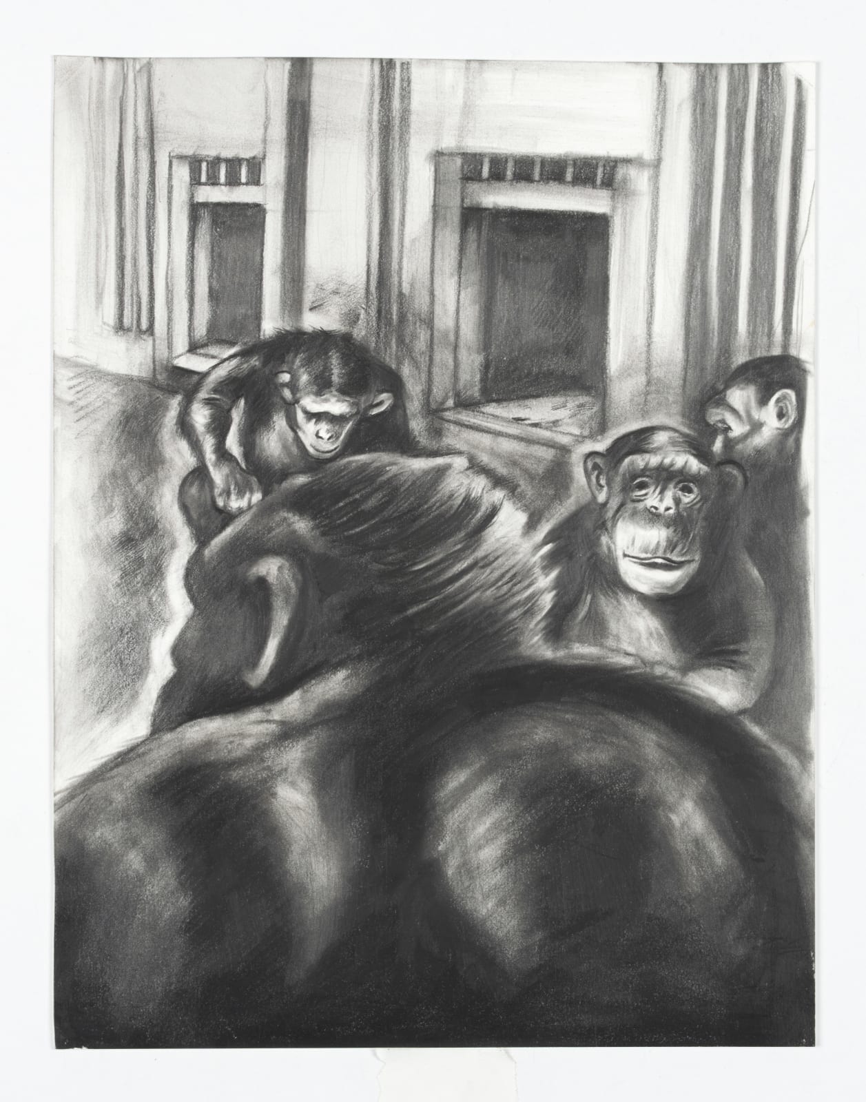 Sue Coe, Chester Zoo, UK: Chimp Troop, 2017