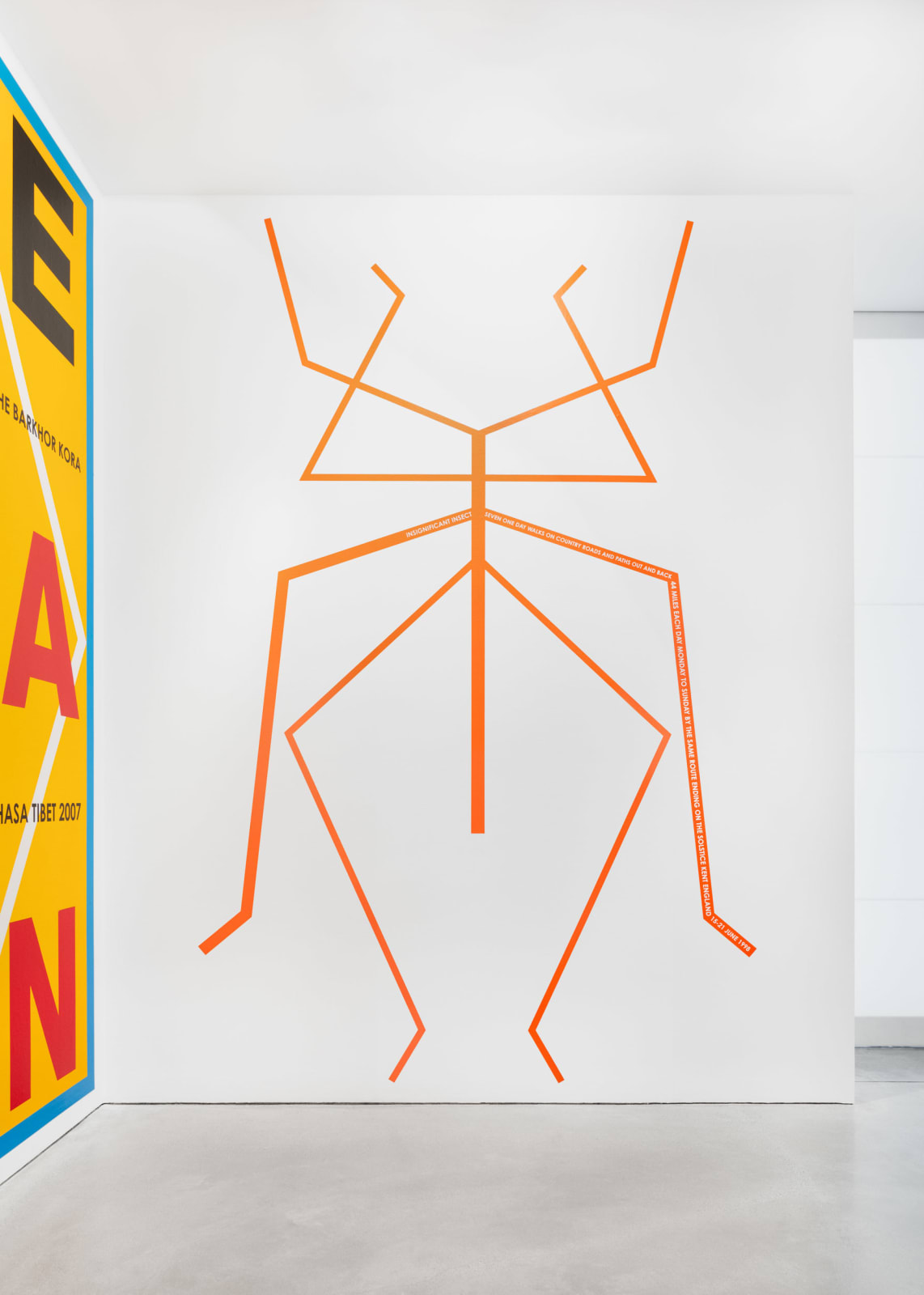 Hamish Fulton, Insignificant Insect. England 1998, 1998