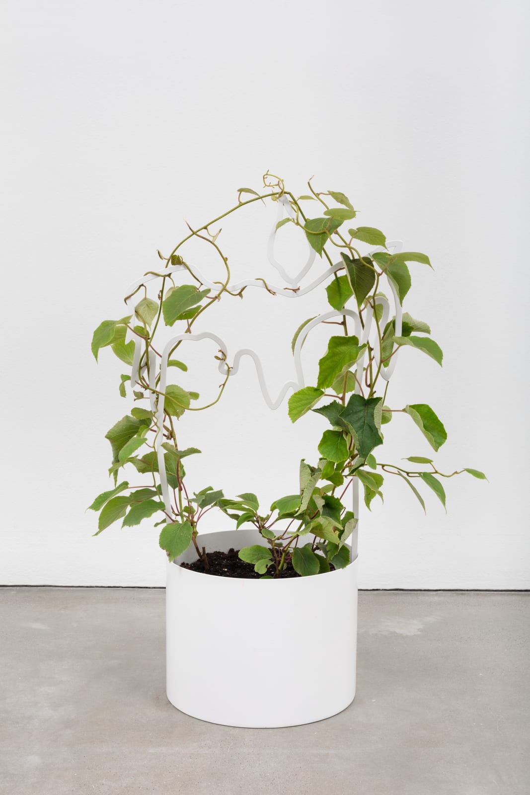 stefanhaehnel_GTS_Loboda-24