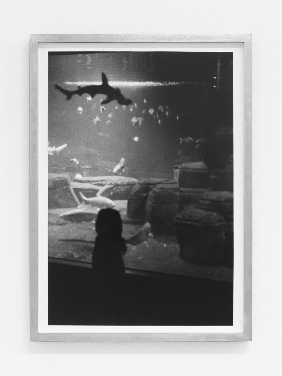 D&TLG_Julian Irlinger_015