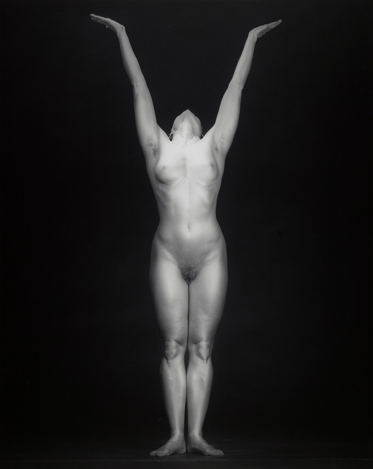Robert Mapplethorpe, Lisa Lyon, 1985