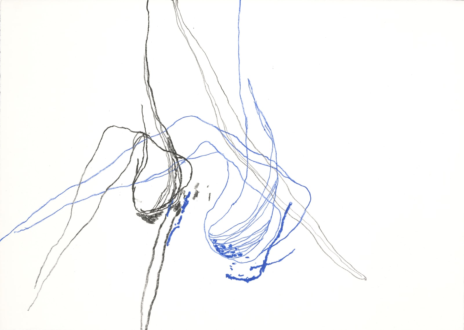 Paco Knöller_The thinking reed