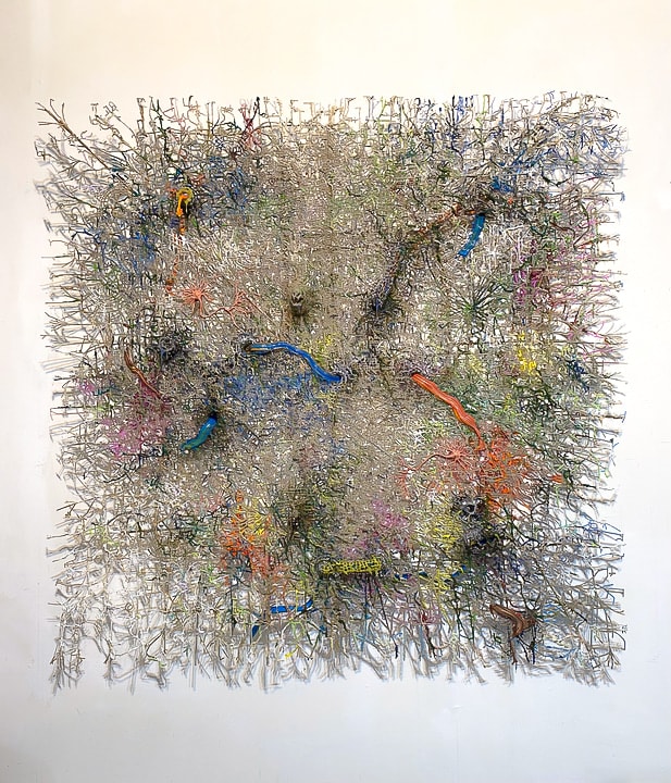 Fabian Marcaccio, Neural Resources