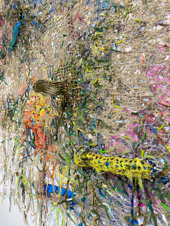 Fabian Marcaccio, Neural Resources