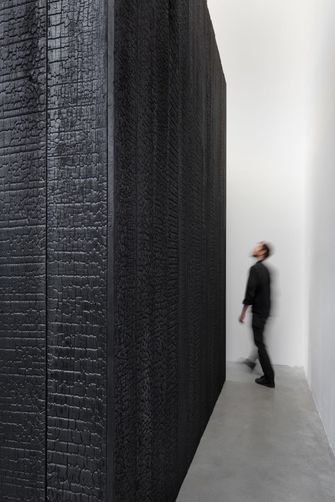 Iñigo Manglano-Ovalle, Die Hütte, 2013/2020