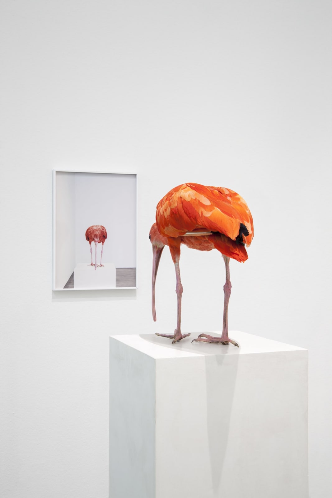 Michael Müller, Spiegelwächter, 2013