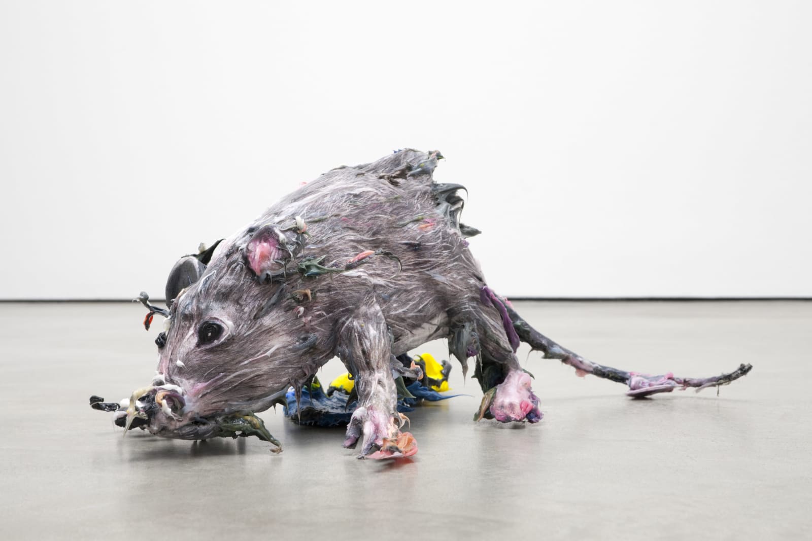 Marcaccio-Ratte-8757