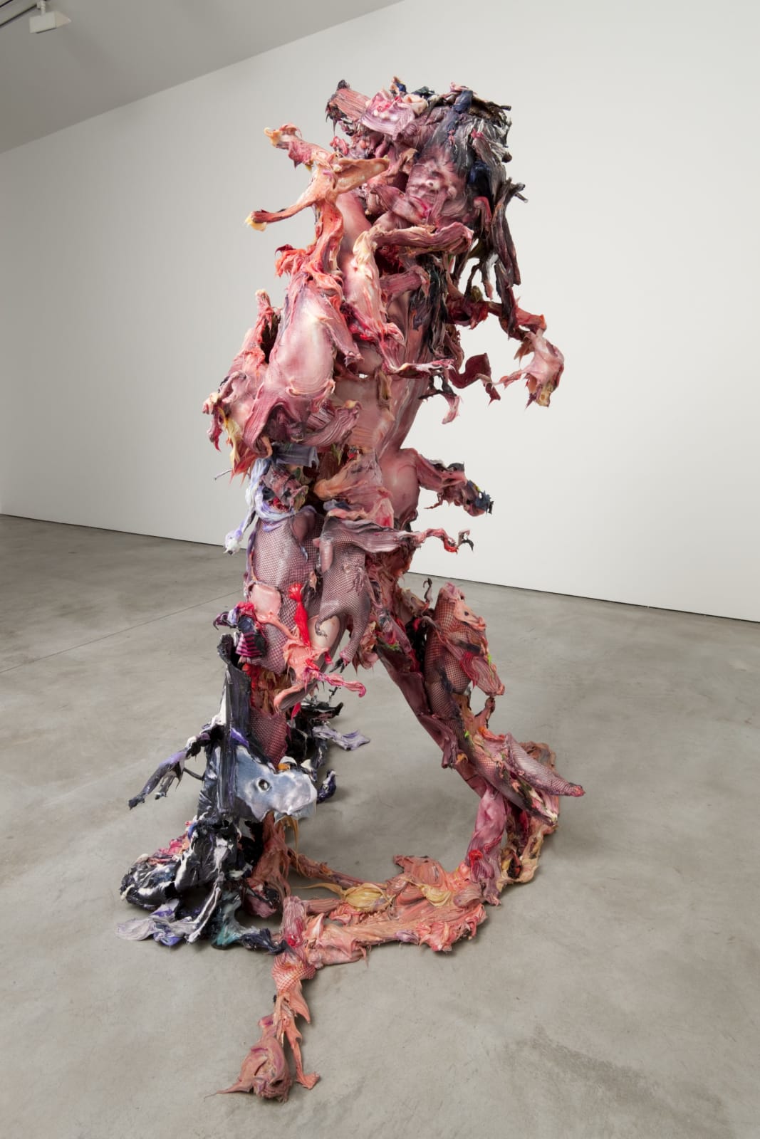 Marcaccio-Trans-8541