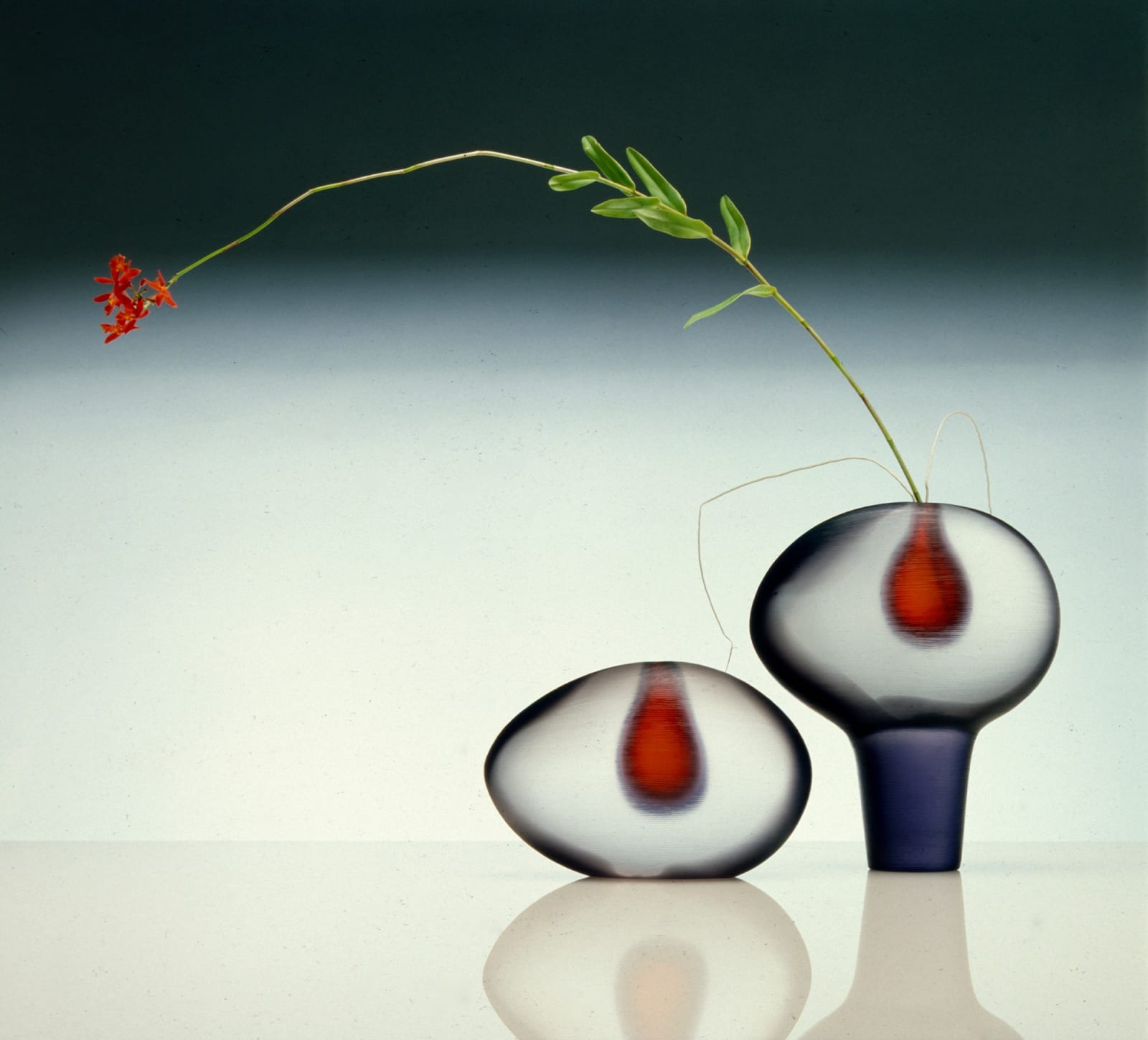 Robert Mapplethorpe, Two Vases and Flower, 1985