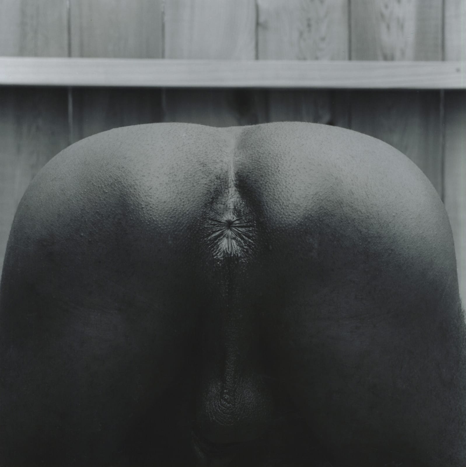 Robert Mapplethorpe, Marty Gibson, 1982