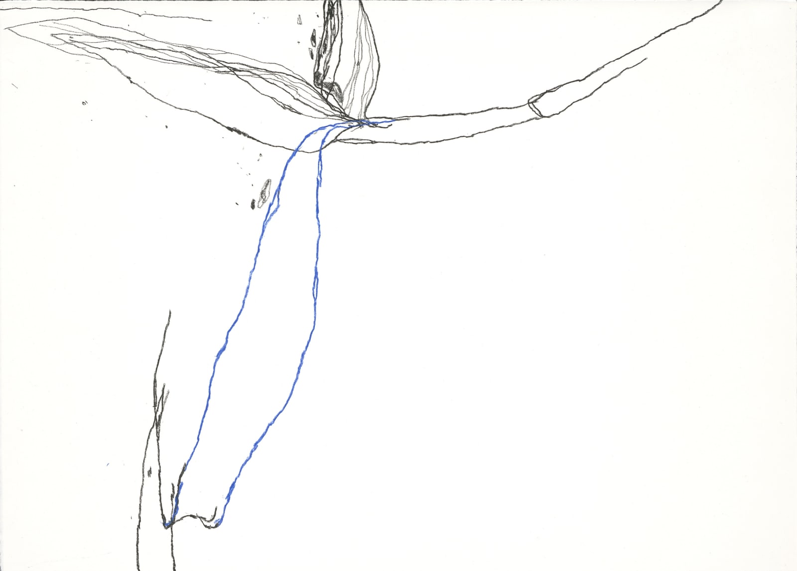 Paco Knöller_The thinking reed