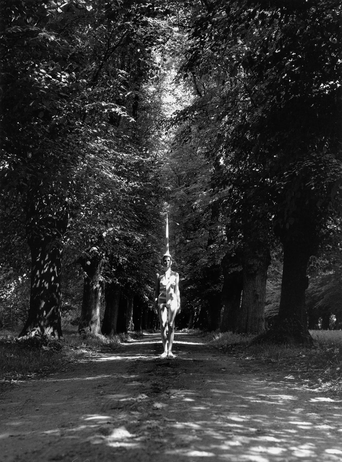 Rebecca Horn, Unicorn, 1970