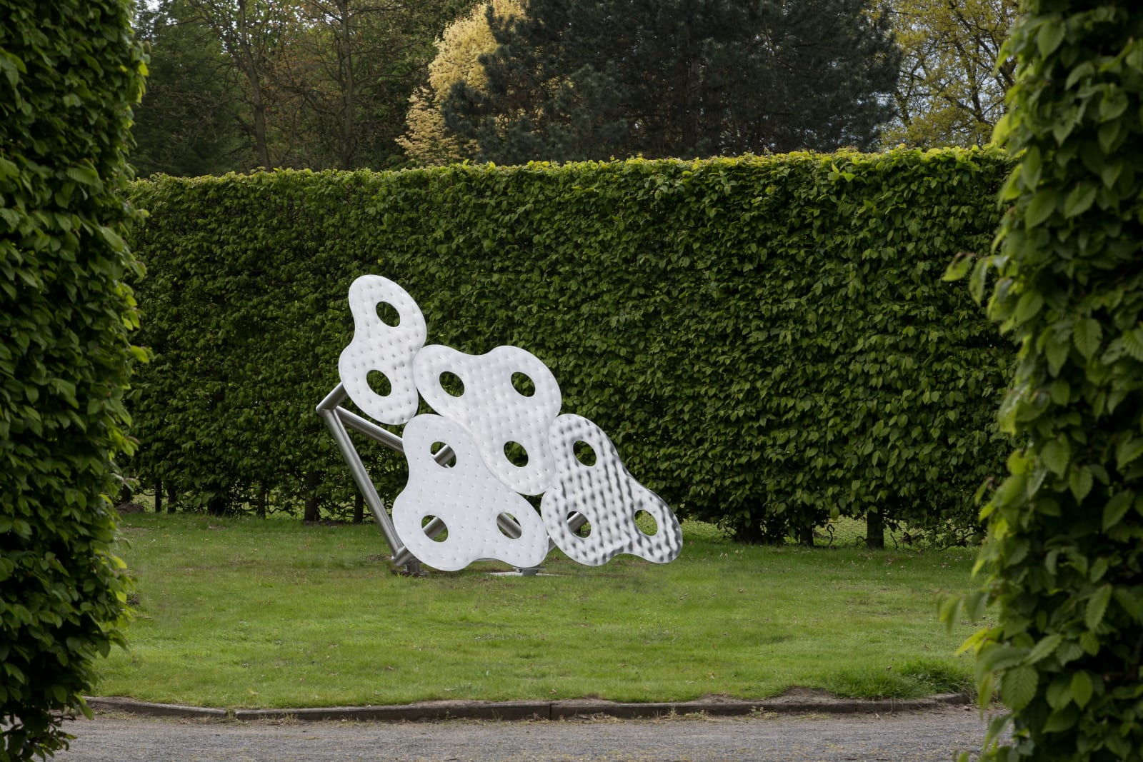 Deacon 15 Infinity 14