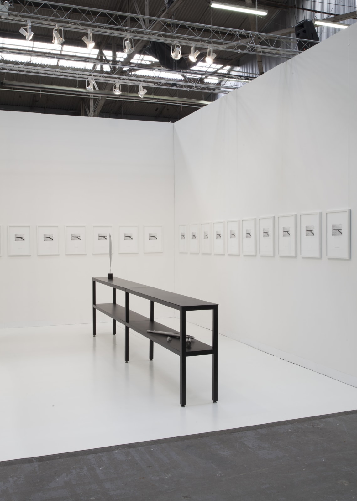 IMO Bird in Space MACH 10 (2)