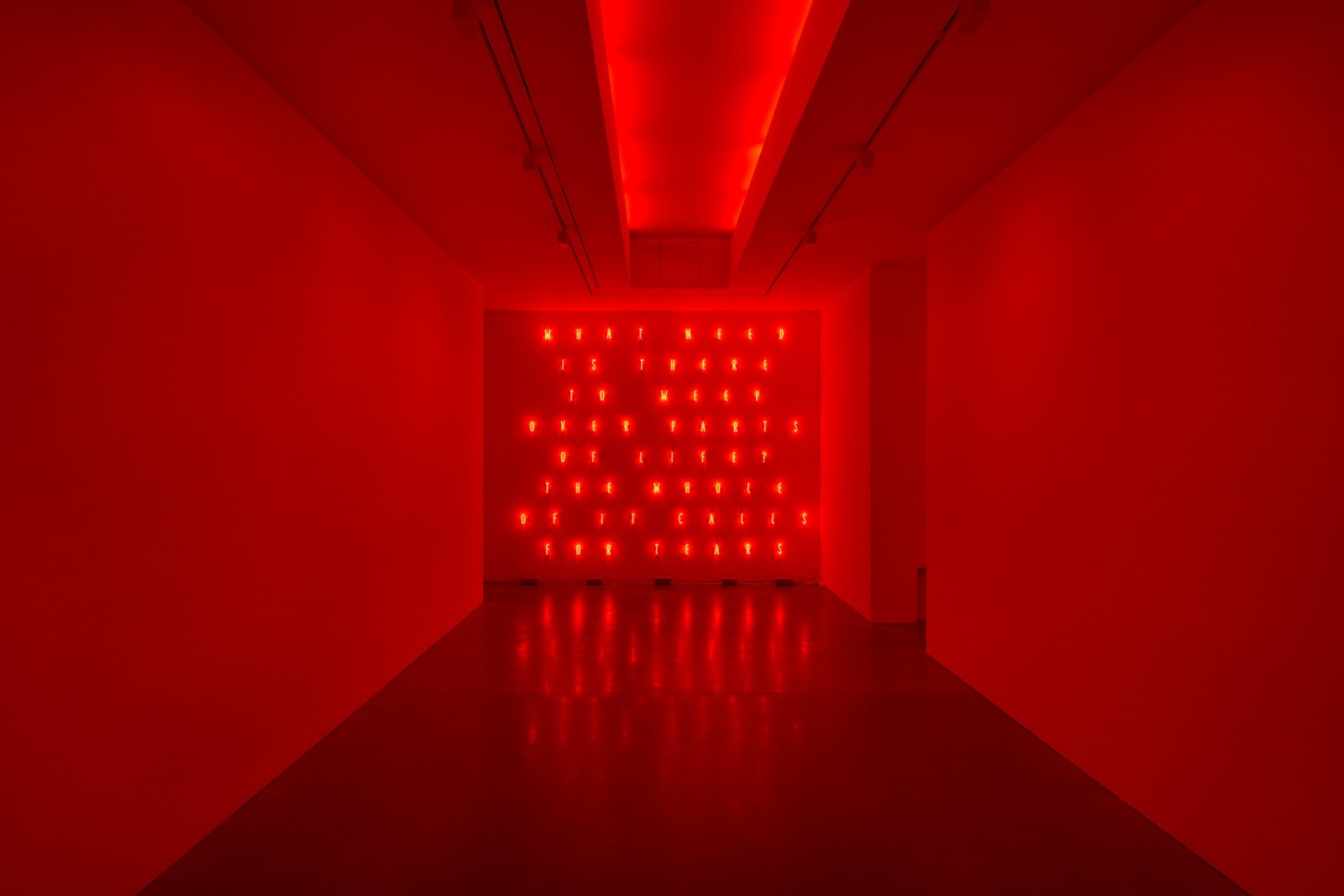 Alfredo Jaar, What need is There to Weep Over Parts of Life? The Whole