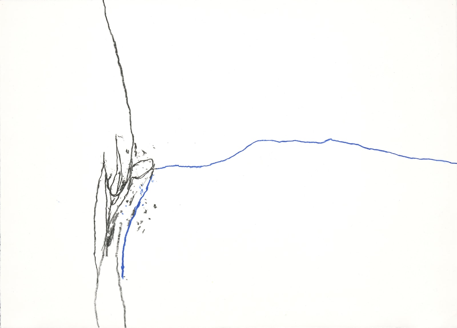 Paco Knöller_The thinking reed