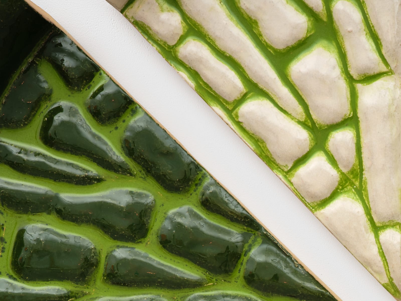 Lena Henke, Biodiversity, 2022