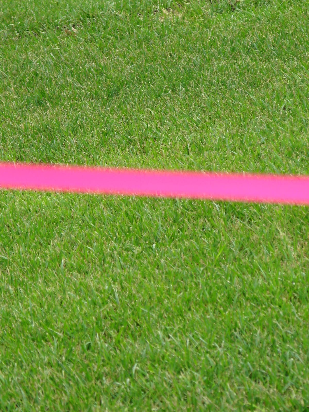 Juan Uslé, Línea Jan Hoet, Amagansett, 2008