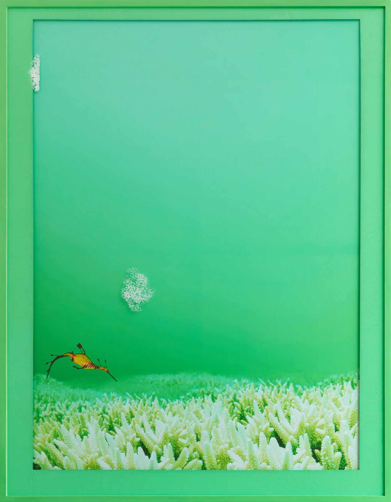 Michael Müller, El Niño, 2017