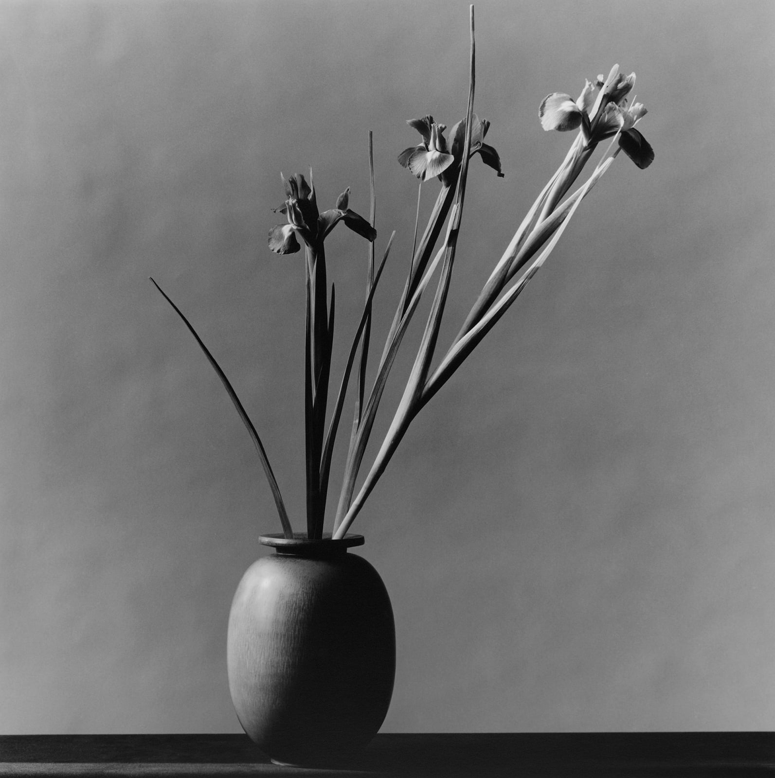 Robert Mapplethorpe, Iris, 1982