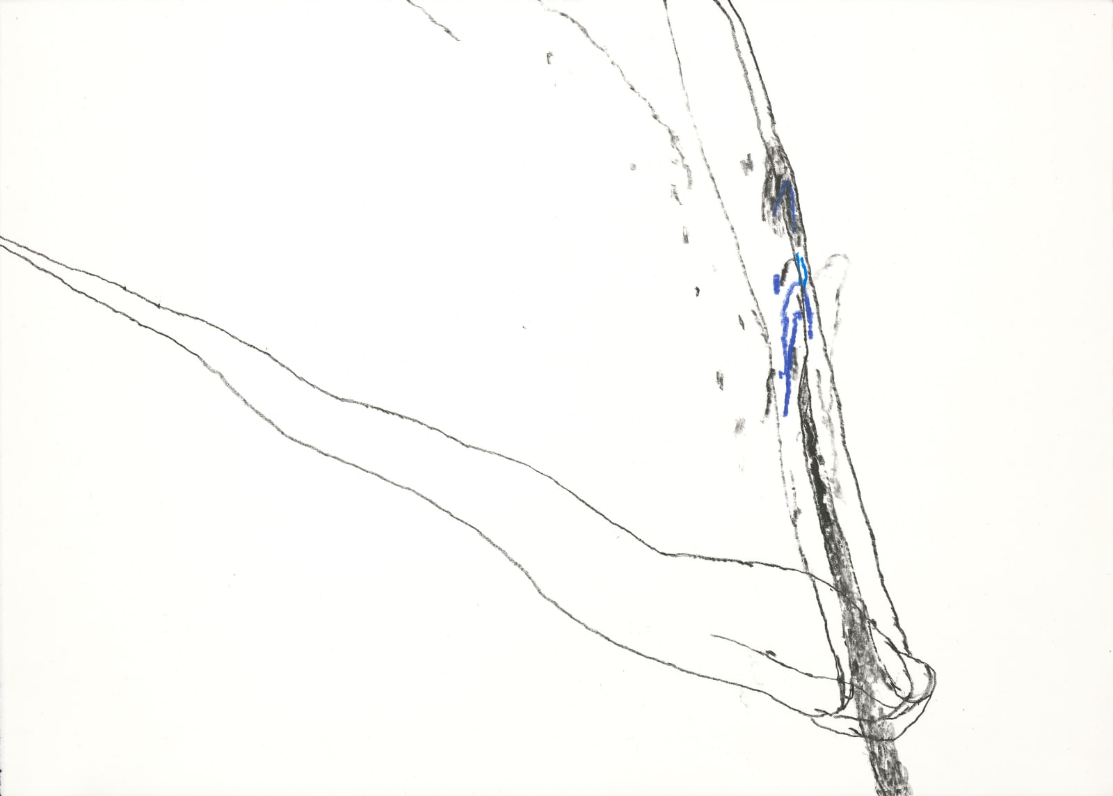 Paco Knöller_The thinking reed