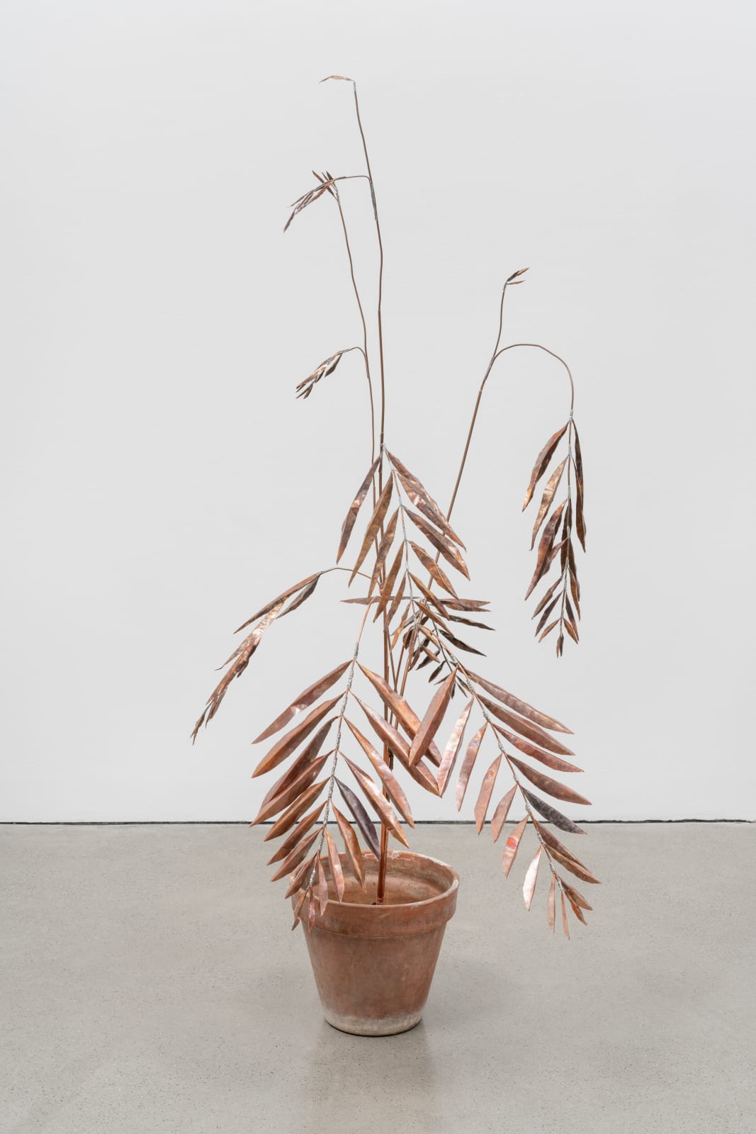 José Montealegre, página 0425, figura 2, 2023