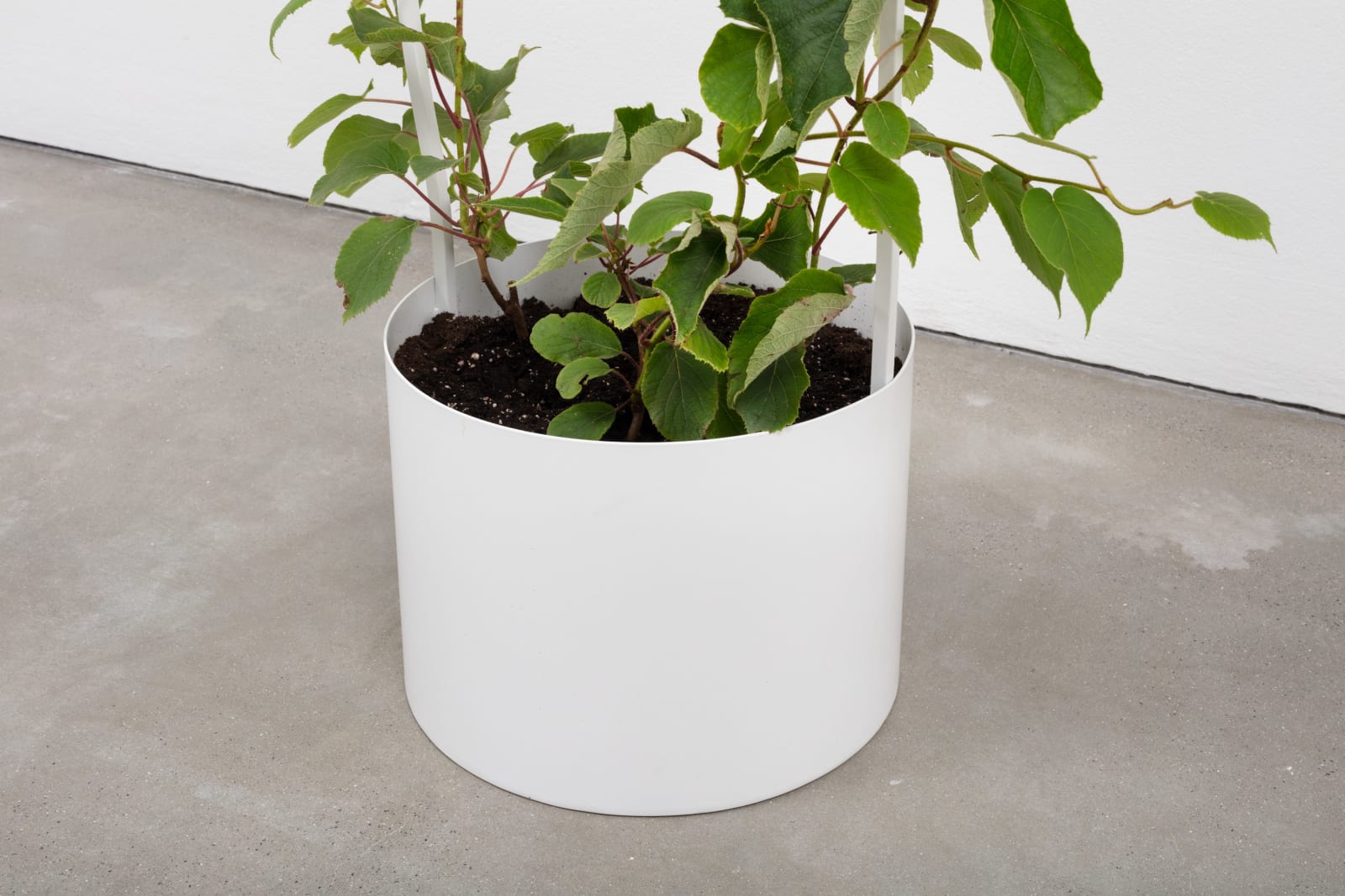 stefanhaehnel_GTS_Loboda-25