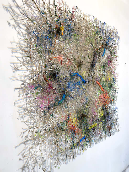 Fabian Marcaccio, Neural Resources