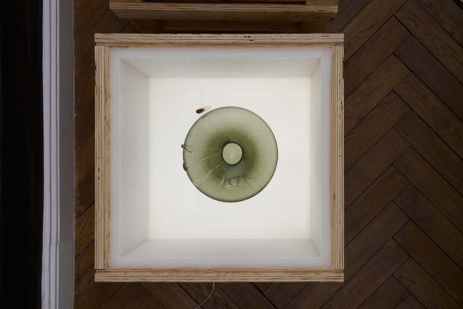 Maria Loboda, Vasemania / Urn Burial, 2025