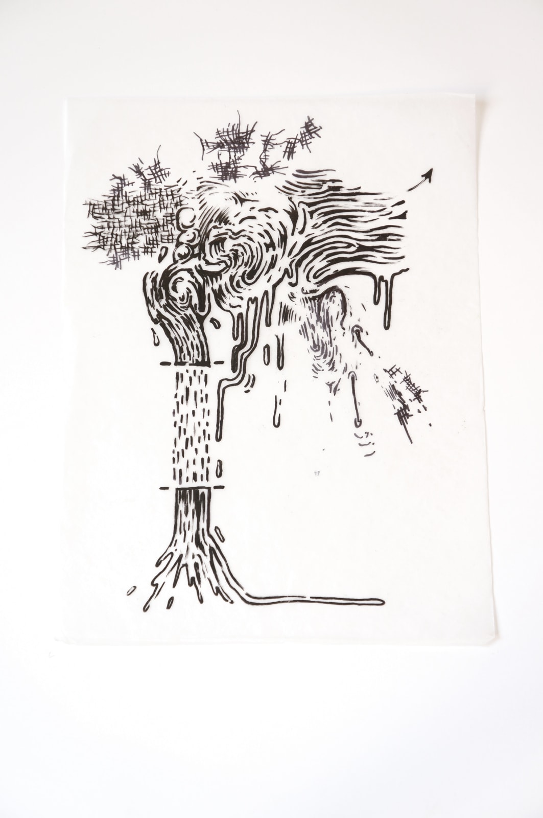 Fabian Marcaccio, Conjecture, 2013