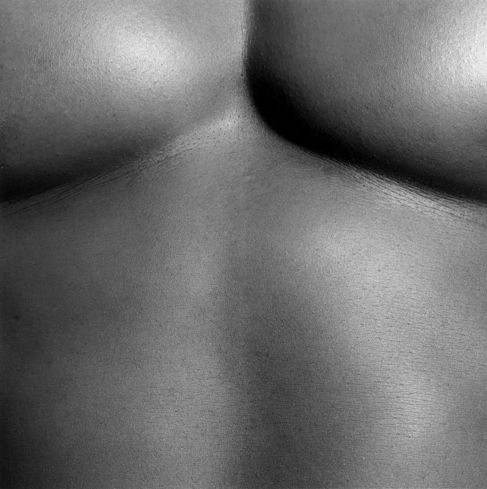 Robert Mapplethorpe, Chest/Livingston, 1988