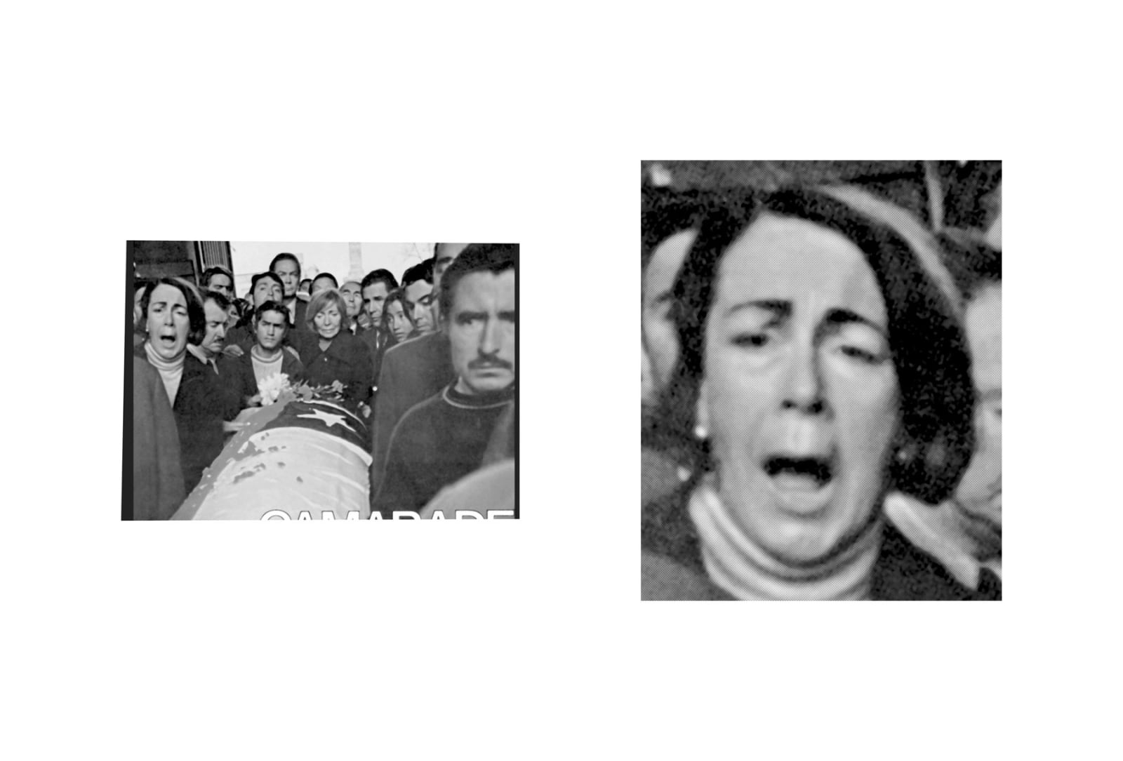 faces008
