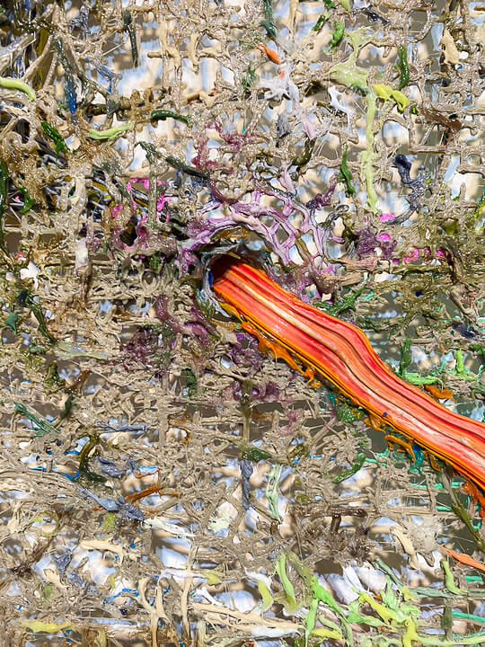 Fabian Marcaccio, Neural Resources